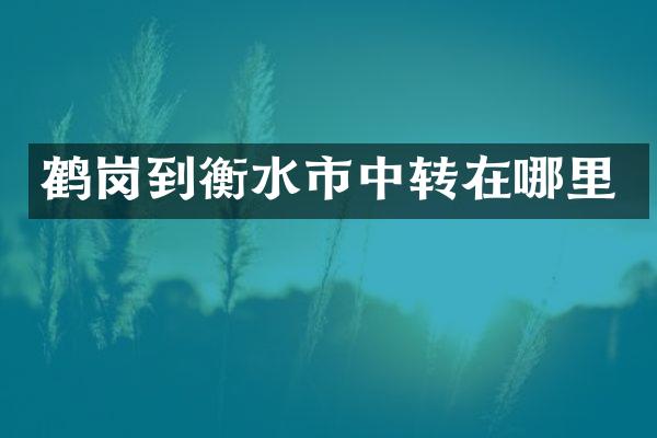 鹤岗到衡水市中转在哪里