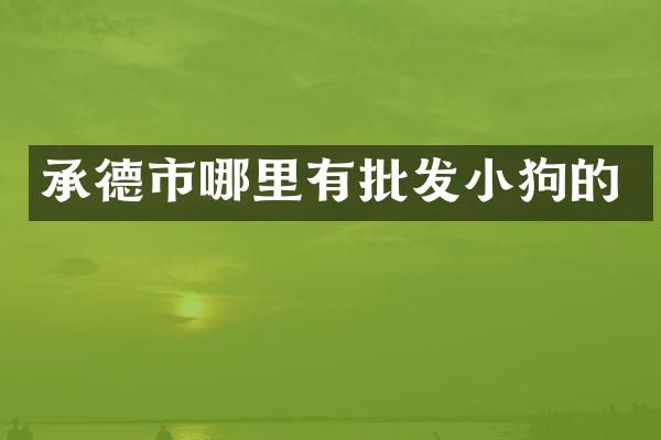 承德市哪里有批发小狗的