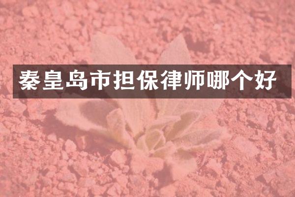 秦皇岛市担保律师哪个好
