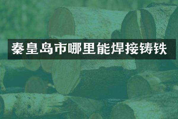秦皇岛市哪里能焊接铸铁
