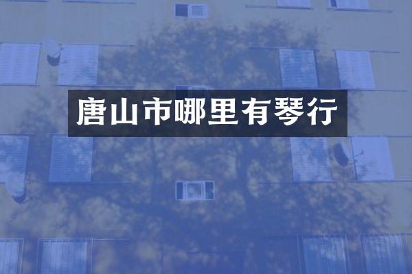 唐山市哪里有琴行