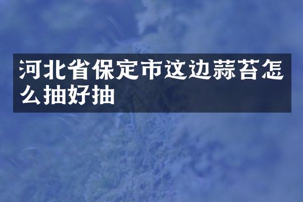 河北省保定市这边蒜苔怎么抽好抽