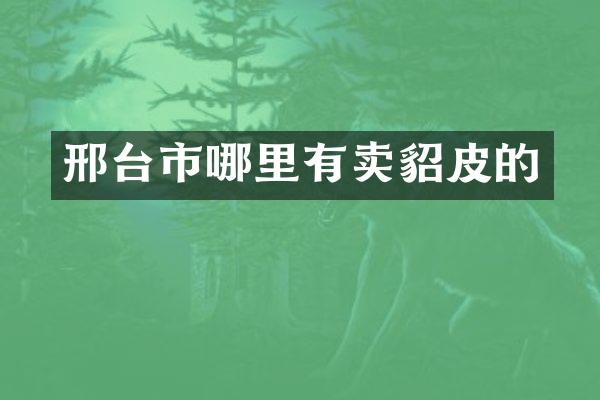 邢台市哪里有卖貂皮的
