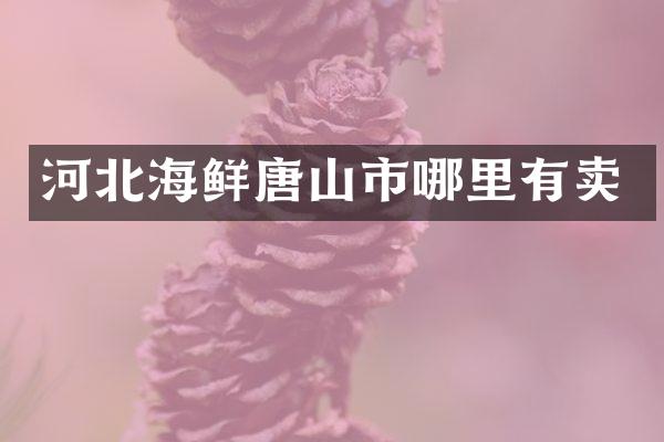 河北海鲜唐山市哪里有卖