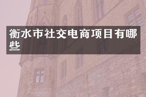 衡水市社交电商项目有哪些