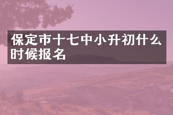 保定市十七中小升初什么时候报名