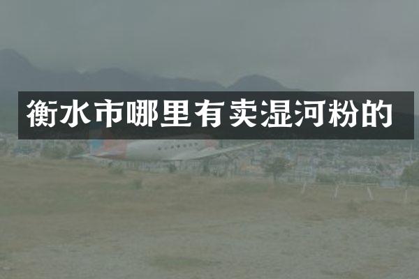 衡水市哪里有卖湿河粉的