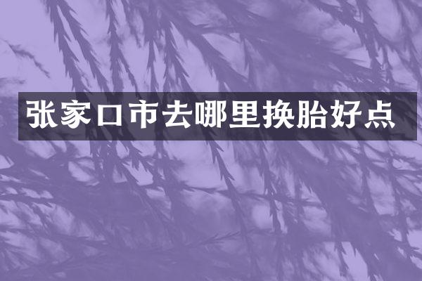 张家口市去哪里换胎好点