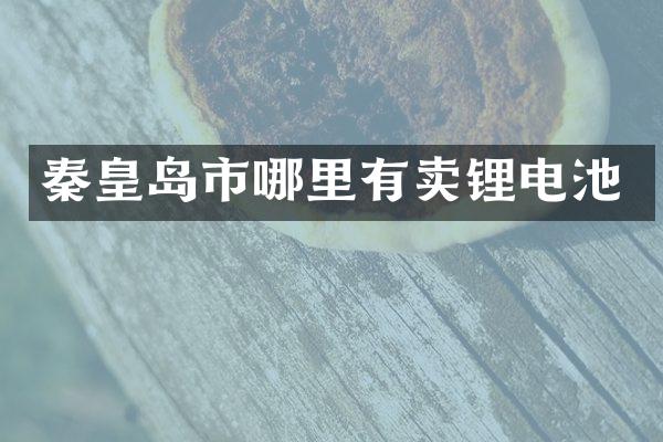 秦皇岛市哪里有卖锂电池