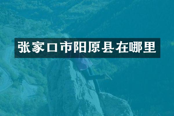 张家口市阳原县在哪里