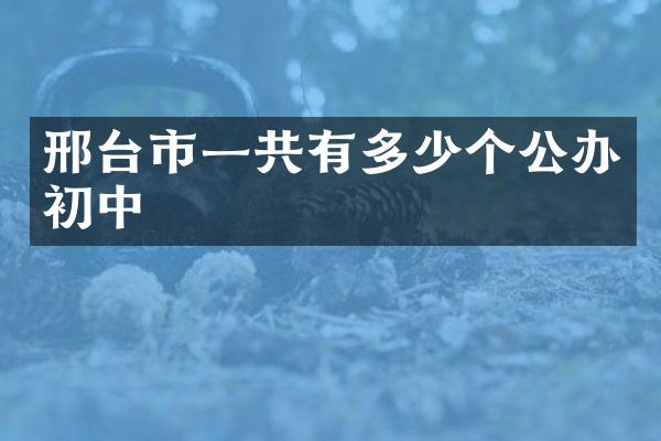邢台市一共有多少个公办初中