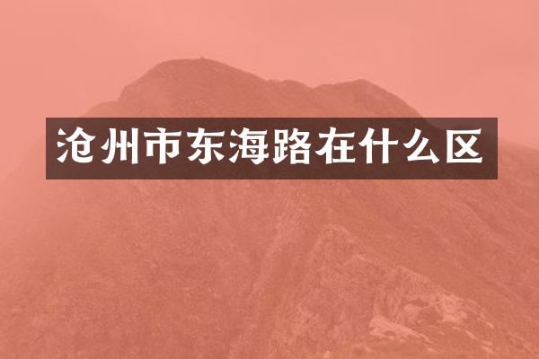 沧州市东海路在什么区