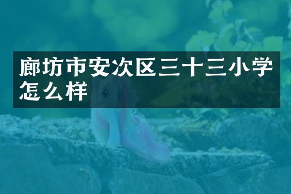廊坊市安次区三十三小学怎么样