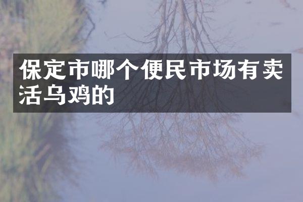 保定市哪个便民市场有卖活乌鸡的
