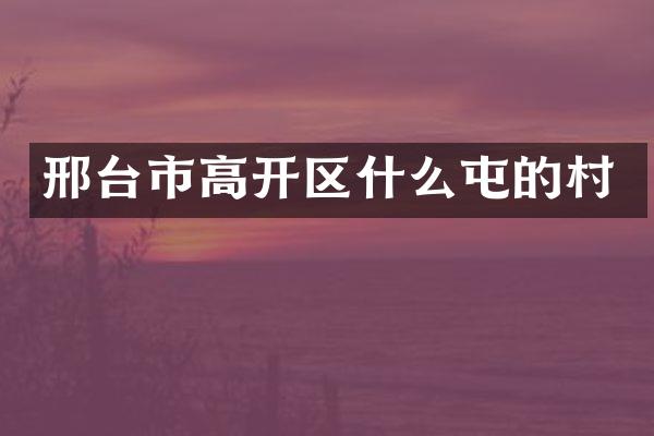 邢台市高开区什么屯的村