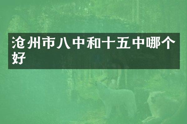 沧州市八中和十五中哪个好