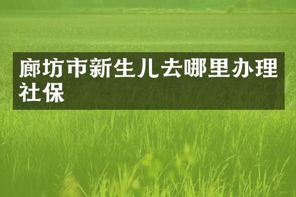 廊坊市新生儿去哪里办理社保