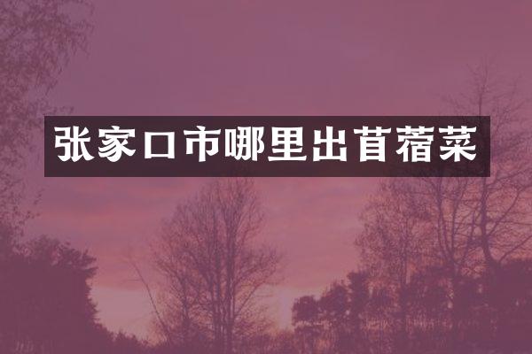 张家口市哪里出苜蓿菜
