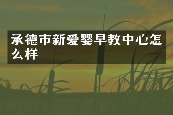 承德市新爱婴早教中心怎么样