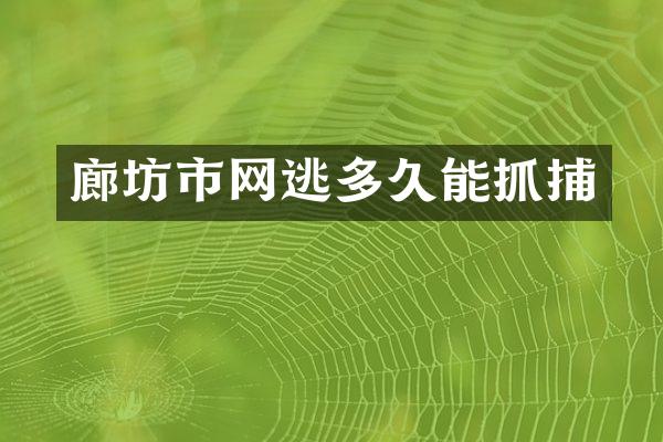 廊坊市网逃多久能抓捕