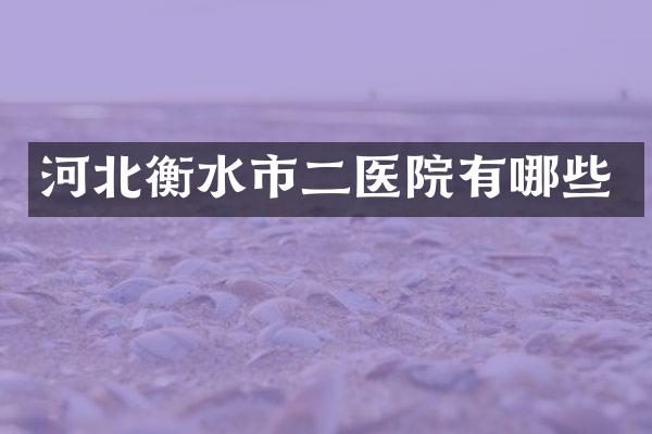 河北衡水市二医院有哪些