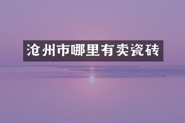 沧州市哪里有卖瓷砖
