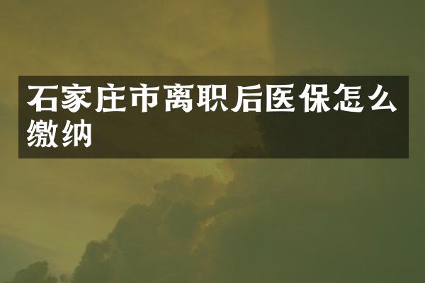 石家庄市离职后医保怎么缴纳