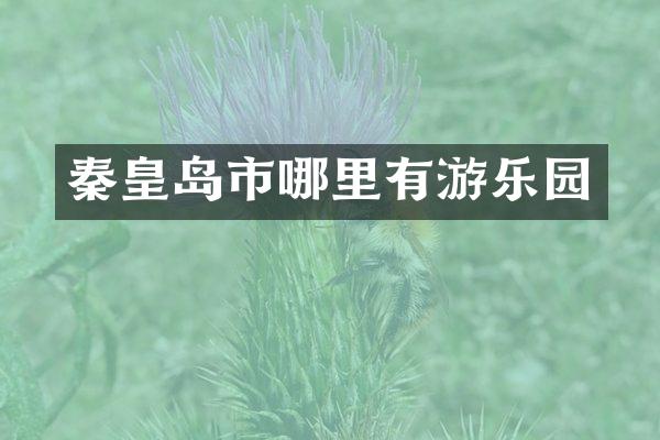 秦皇岛市哪里有游乐园