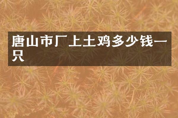 唐山市厂上土鸡多少钱一只