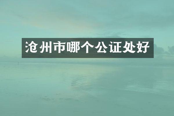 沧州市哪个公证处好