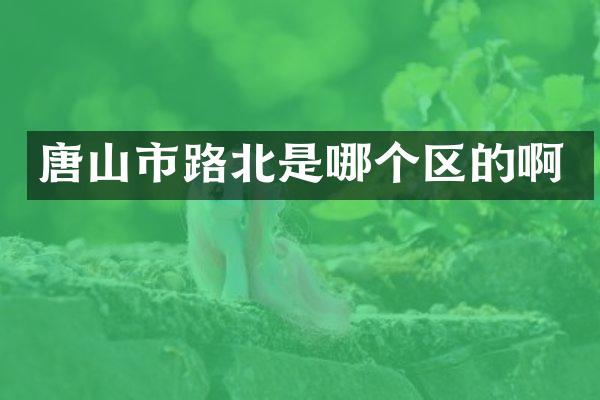 唐山市路北是哪个区的啊