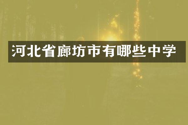 河北省廊坊市有哪些中学