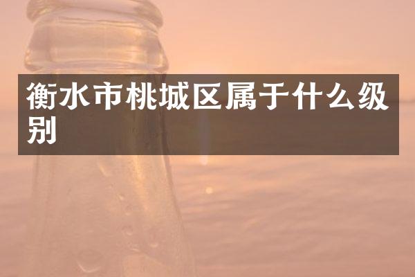 衡水市桃城区属于什么级别