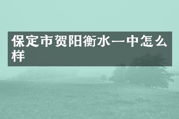 保定市贺阳衡水一中怎么样