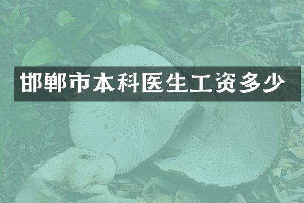 邯郸市本科医生工资多少