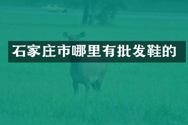 石家庄市哪里有批发鞋的