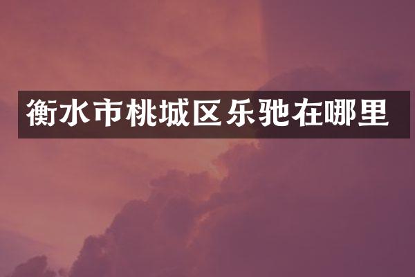 衡水市桃城区乐驰在哪里