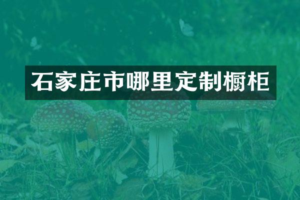 石家庄市哪里定制橱柜