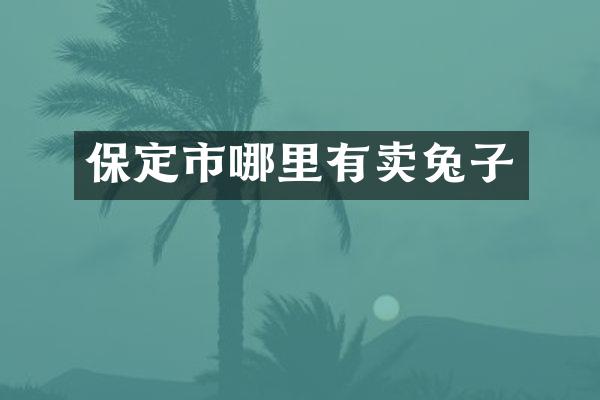 保定市哪里有卖兔子