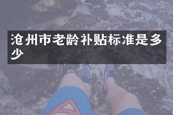 沧州市老龄补贴标准是多少