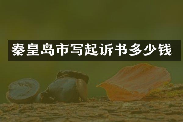秦皇岛市写起诉书多少钱