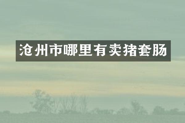 沧州市哪里有卖猪套肠