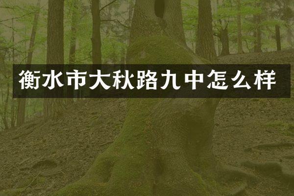 衡水市大秋路九中怎么样