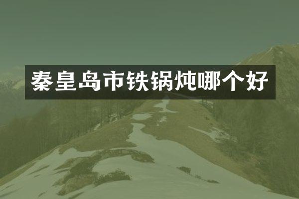 秦皇岛市铁锅炖哪个好