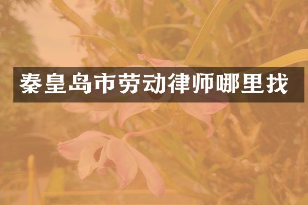 秦皇岛市劳动律师哪里找