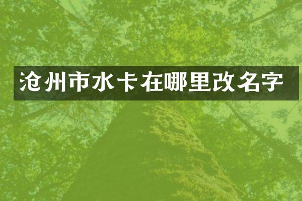 沧州市水卡在哪里改名字