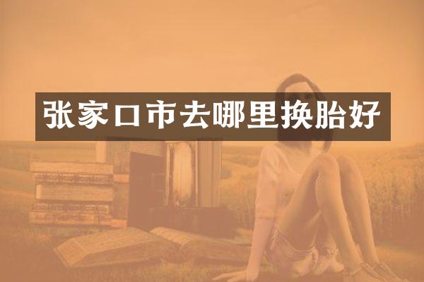 张家口市去哪里换胎好
