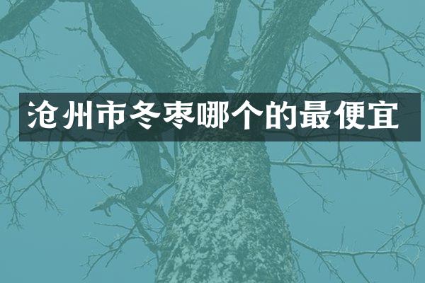 沧州市冬枣哪个的最便宜