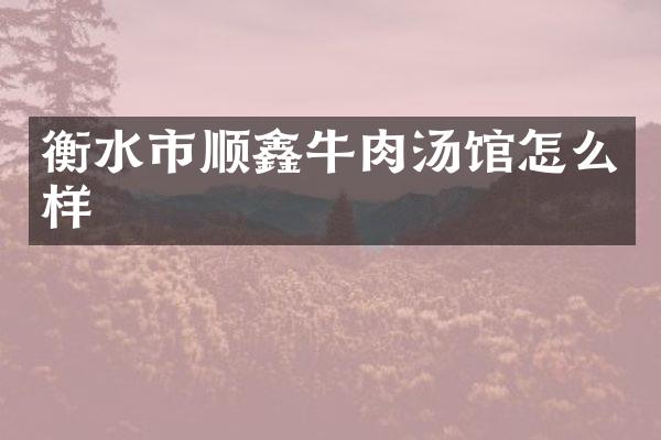 衡水市顺鑫牛肉汤馆怎么样