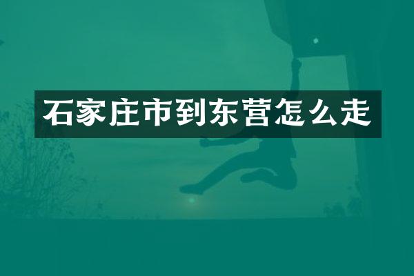 石家庄市到东营怎么走